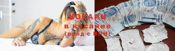ешки Арсеньев