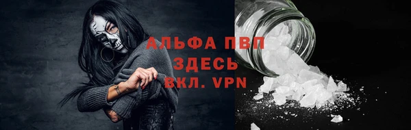 ешки Арсеньев
