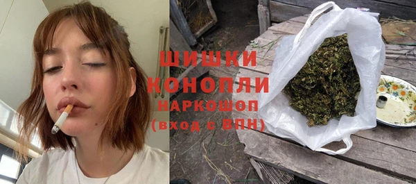 ешки Арсеньев