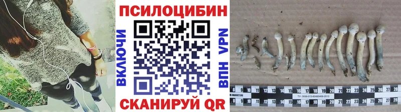 Купить где Джанкой Галлюциногенные грибы MAGIC MUSHROOMS